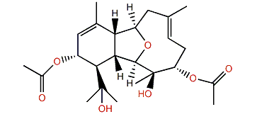 Astrogorgin M